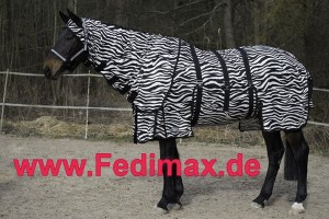 Fliegendecke Zebra für Haflinger mit Nesselfieber